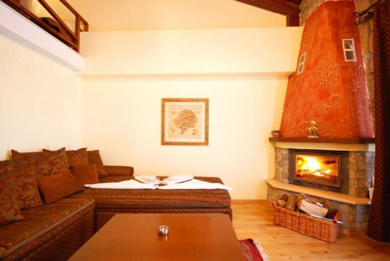 Vasilitsa Spa Resort Grevena Room photo